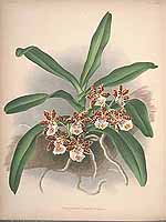  no thumbnail available