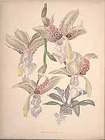  no thumbnail available