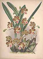  no thumbnail available