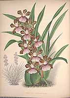  no thumbnail available