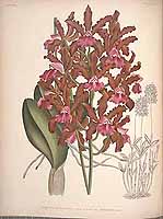  no thumbnail available