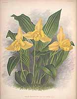  no thumbnail available