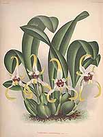  no thumbnail available