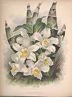  no thumbnail available