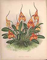  no thumbnail available