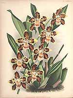  no thumbnail available