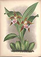  no thumbnail available