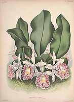  no thumbnail available