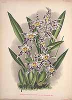  no thumbnail available