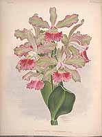  no thumbnail available