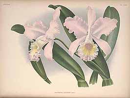  no thumbnail available