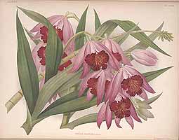  no thumbnail available