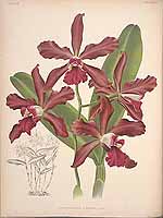  no thumbnail available