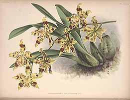  no thumbnail available