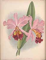  no thumbnail available