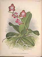  no thumbnail available