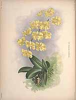  no thumbnail available