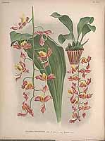  no thumbnail available