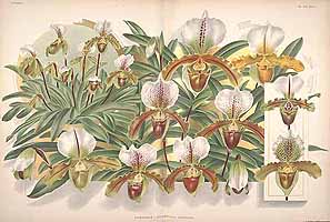  no thumbnail available