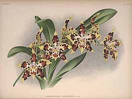  no thumbnail available