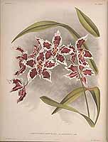  no thumbnail available