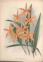  no thumbnail available