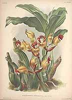  no thumbnail available