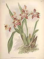  no thumbnail available