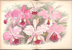  no thumbnail available