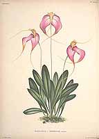  no thumbnail available