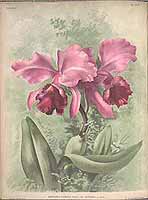  no thumbnail available