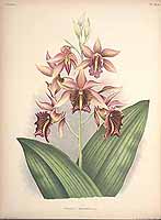  no thumbnail available