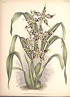  no thumbnail available