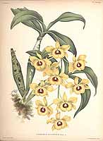  no thumbnail available