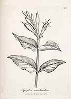  no thumbnail available