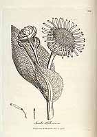  no thumbnail available