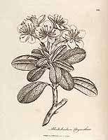  no thumbnail available