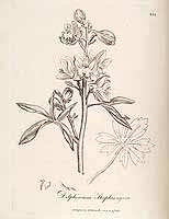  no thumbnail available