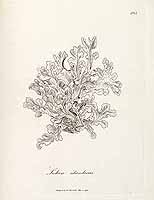  no thumbnail available