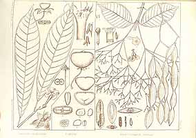  no thumbnail available