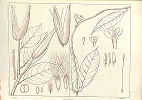  no thumbnail available