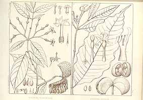  no thumbnail available