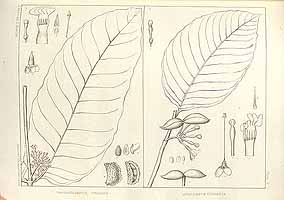  no thumbnail available