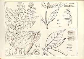  no thumbnail available