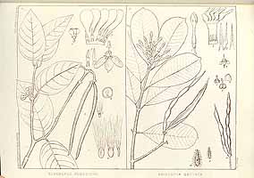  no thumbnail available