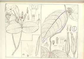  no thumbnail available