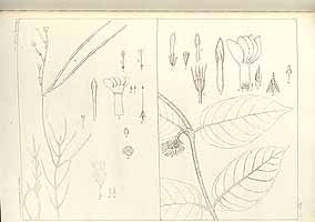  no thumbnail available