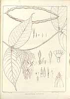  no thumbnail available