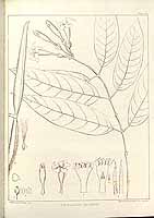  no thumbnail available