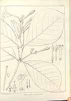  no thumbnail available